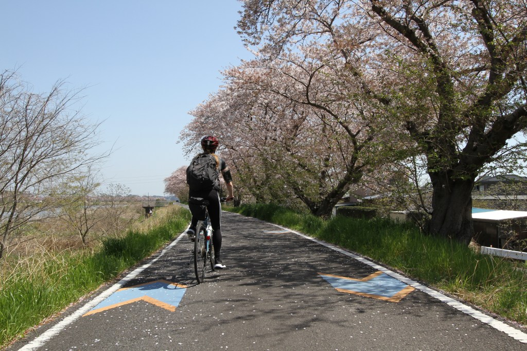 A cycling adventure on Ibaraki’s Ring Ring&nbsp;Road