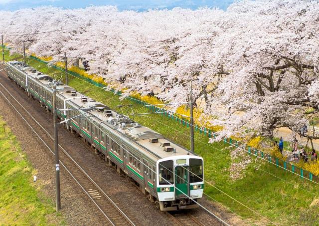 The Japan Rail Pass: What You Need to&nbsp;Know